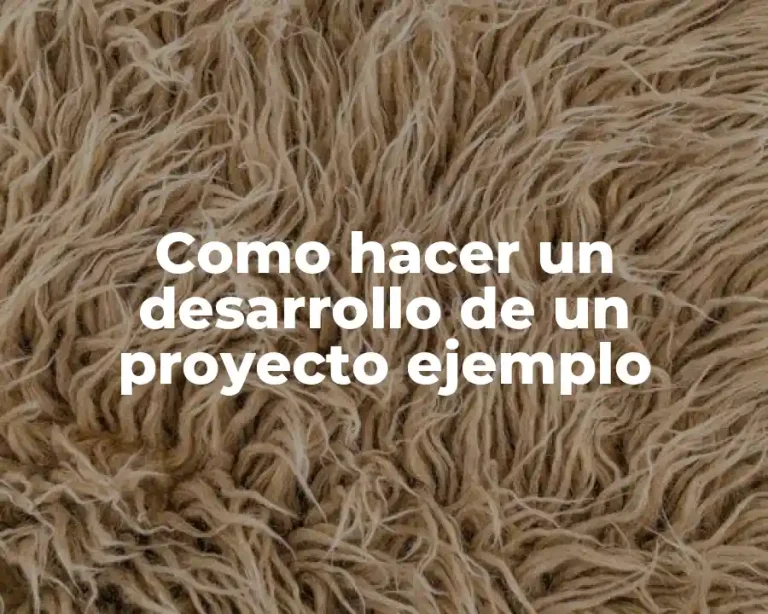 Como hacer un desarrollo de un proyecto ejemplo