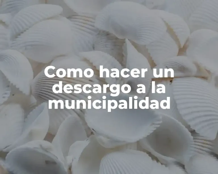 Como hacer un descargo a la municipalidad