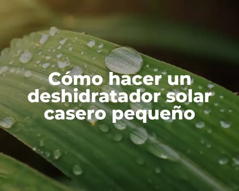 Cómo hacer un deshidratador solar casero pequeño