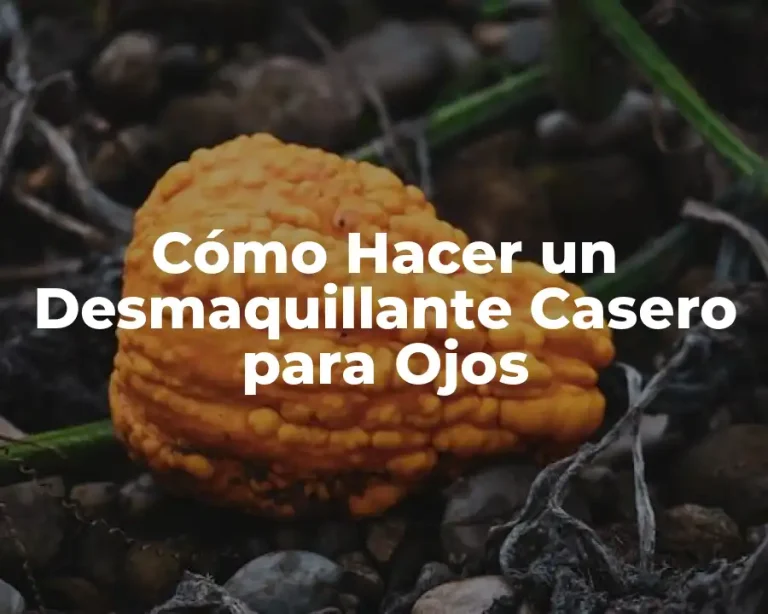 Cómo Hacer un Desmaquillante Casero para Ojos