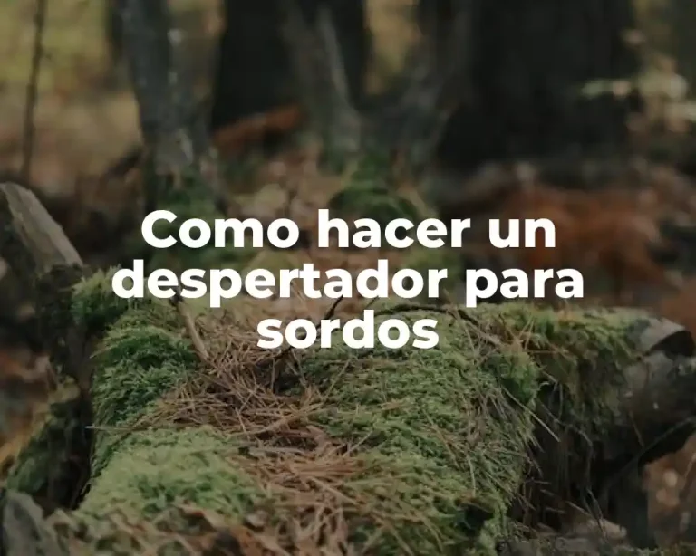 Como hacer un despertador para sordos