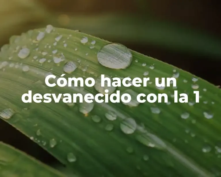 Cómo hacer un desvanecido con la 1