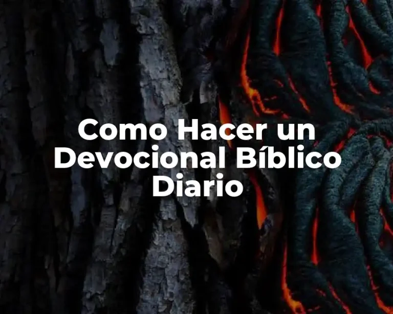 Como Hacer un Devocional Bíblico Diario