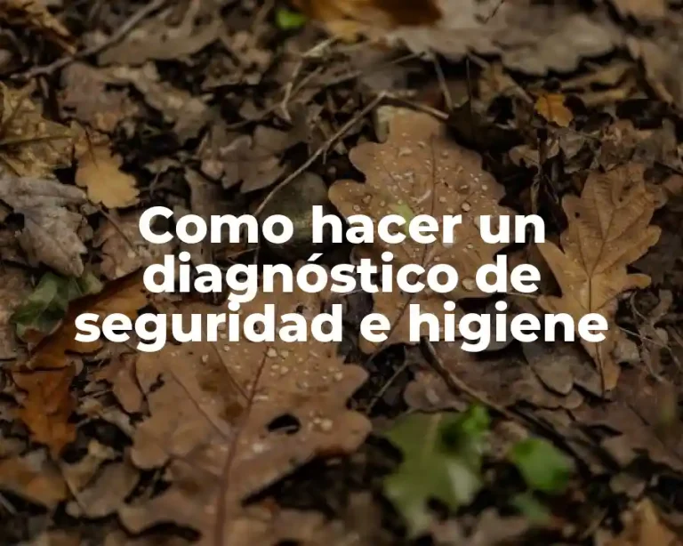 Como hacer un diagnóstico de seguridad e higiene