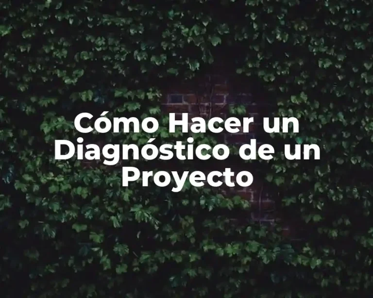 Cómo Hacer un Diagnóstico de un Proyecto