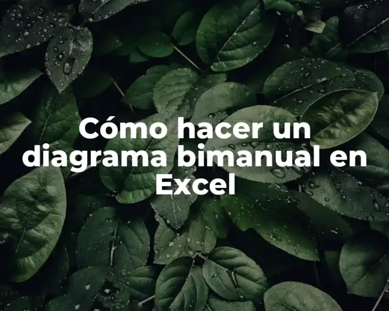 Cómo hacer un diagrama bimanual en Excel