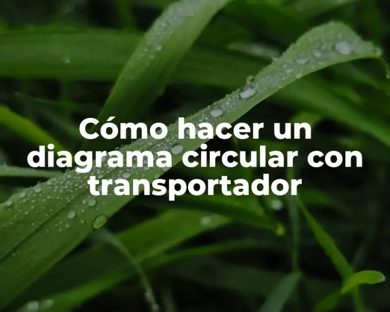 Cómo hacer un diagrama circular con transportador