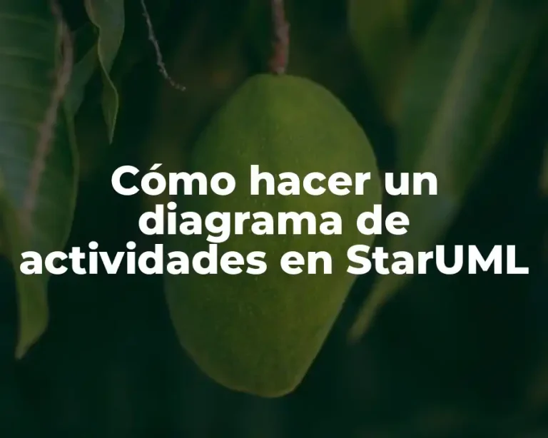 Cómo hacer un diagrama de actividades en StarUML