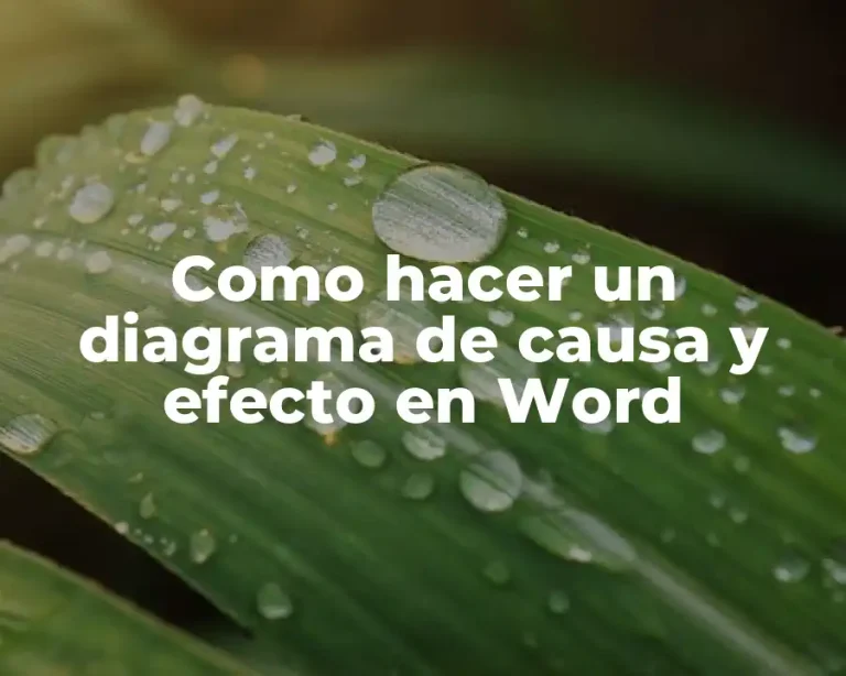 Como hacer un diagrama de causa y efecto en Word