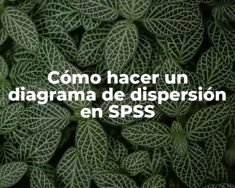 Cómo hacer un diagrama de dispersión en SPSS