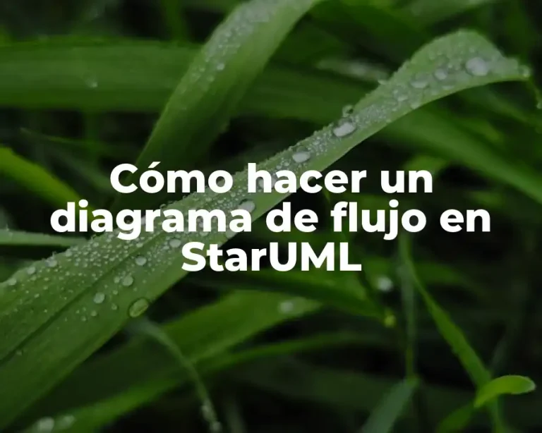 Cómo hacer un diagrama de flujo en StarUML