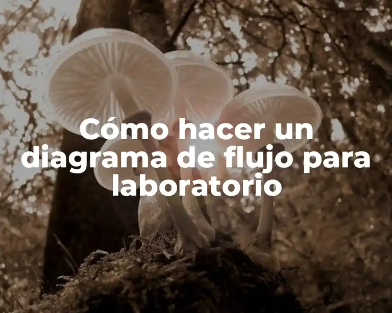 Cómo hacer un diagrama de flujo para laboratorio