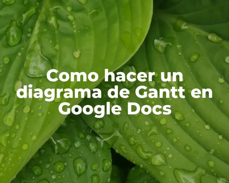 Como hacer un diagrama de Gantt en Google Docs