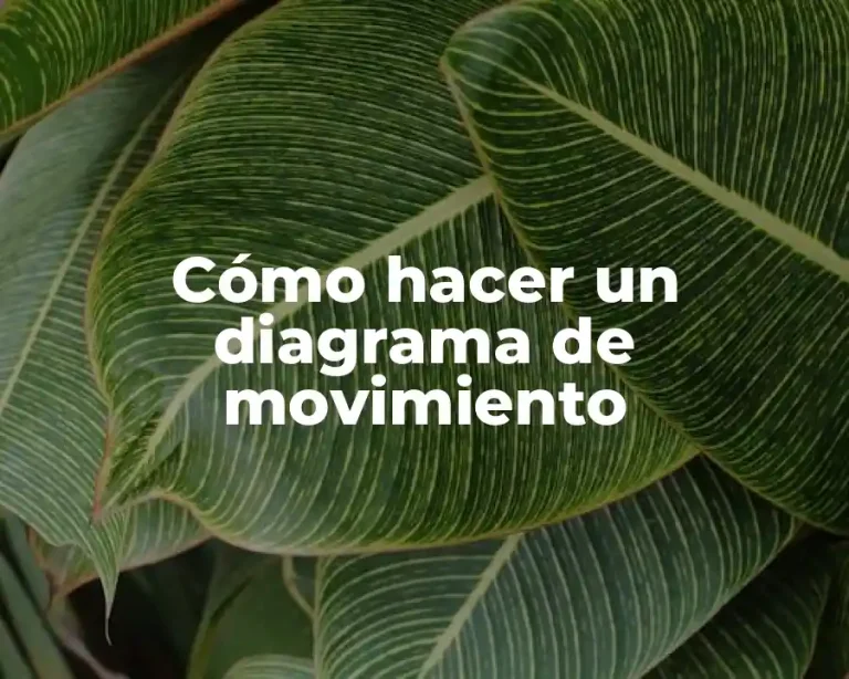 Cómo hacer un diagrama de movimiento