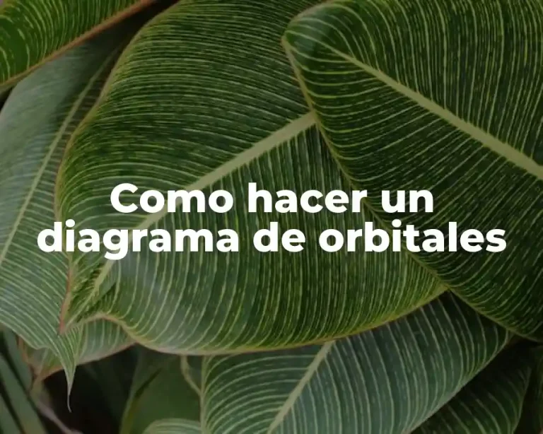 Como hacer un diagrama de orbitales