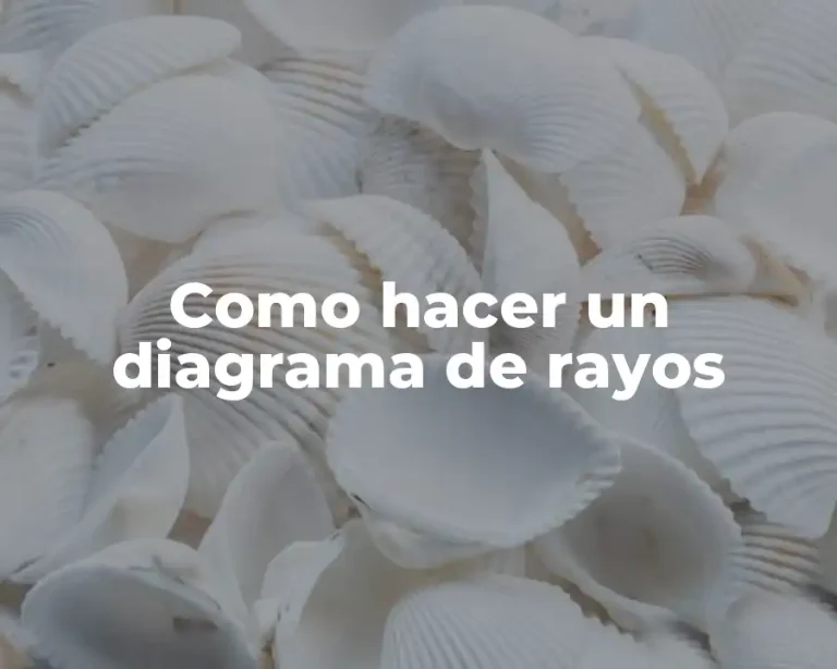 Como hacer un diagrama de rayos