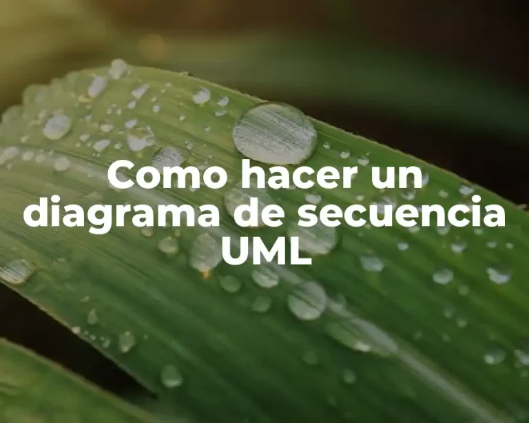 Como hacer un diagrama de secuencia UML