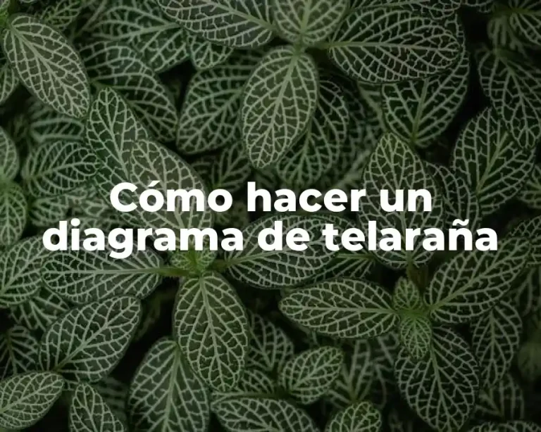 Cómo hacer un diagrama de telaraña