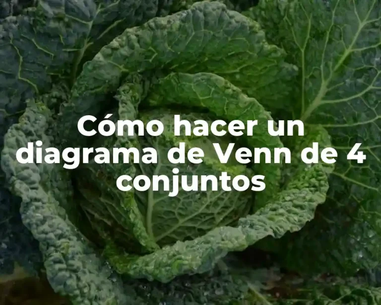 Cómo hacer un diagrama de Venn de 4 conjuntos