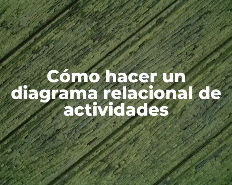 Cómo hacer un diagrama relacional de actividades