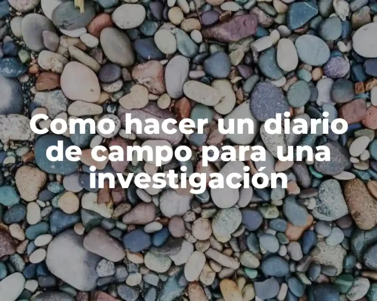Como hacer un diario de campo para una investigación