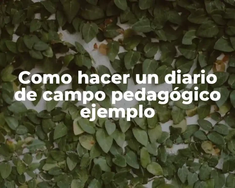 Como hacer un diario de campo pedagógico ejemplo