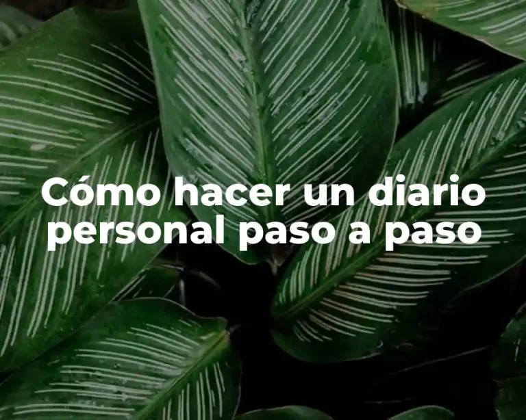 Cómo hacer un diario personal paso a paso