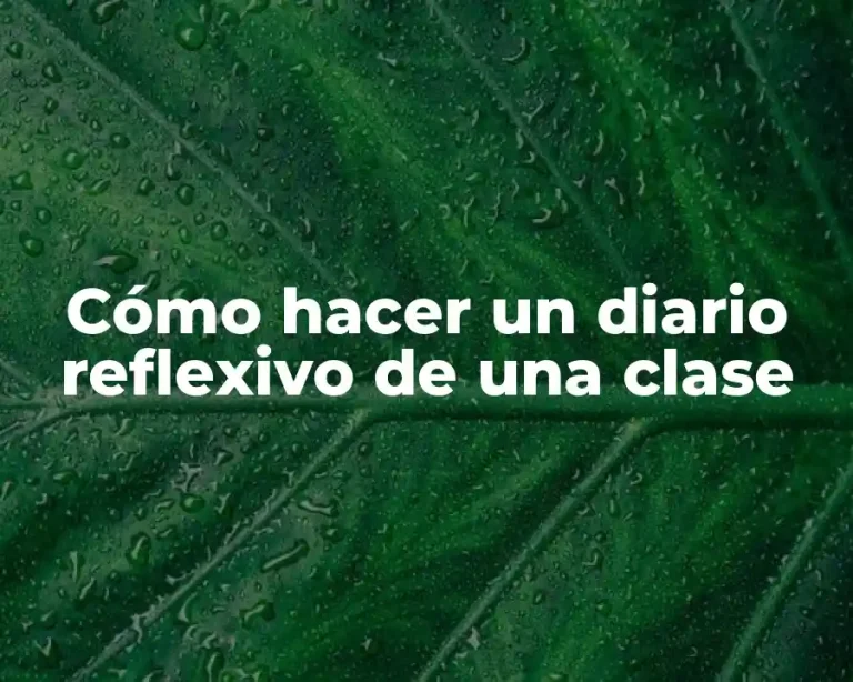Cómo hacer un diario reflexivo de una clase