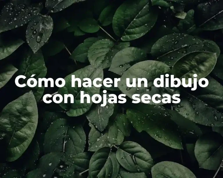 Cómo hacer un dibujo con hojas secas