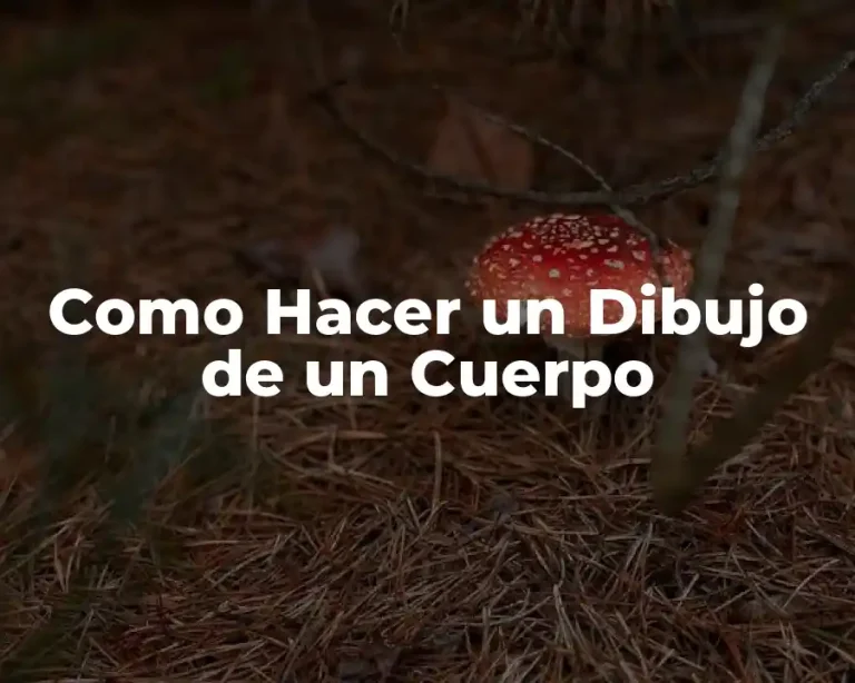Como Hacer un Dibujo de un Cuerpo