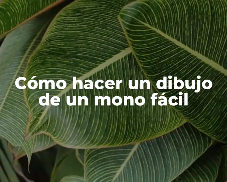 Cómo hacer un dibujo de un mono fácil