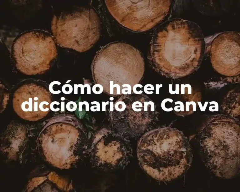 Cómo hacer un diccionario en Canva