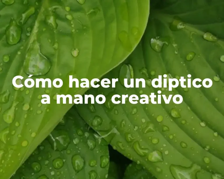 Cómo hacer un diptico a mano creativo