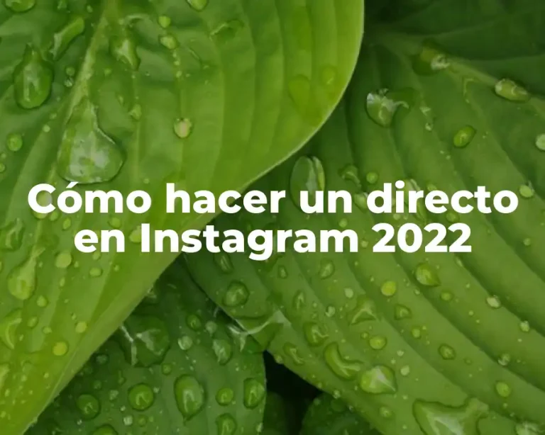 Cómo hacer un directo en Instagram 2022