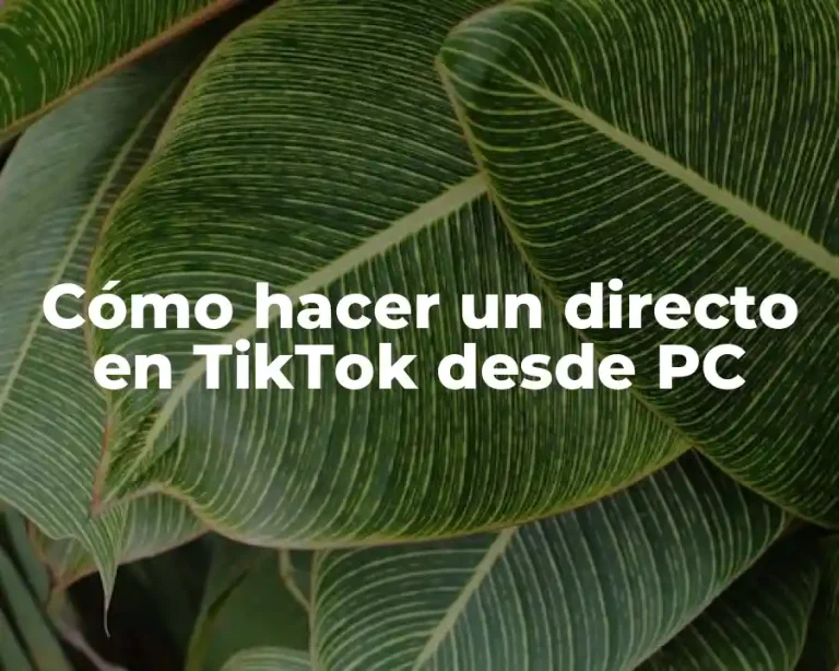 Cómo hacer un directo en TikTok desde PC