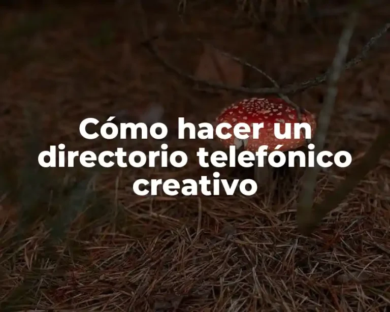 Cómo hacer un directorio telefónico creativo