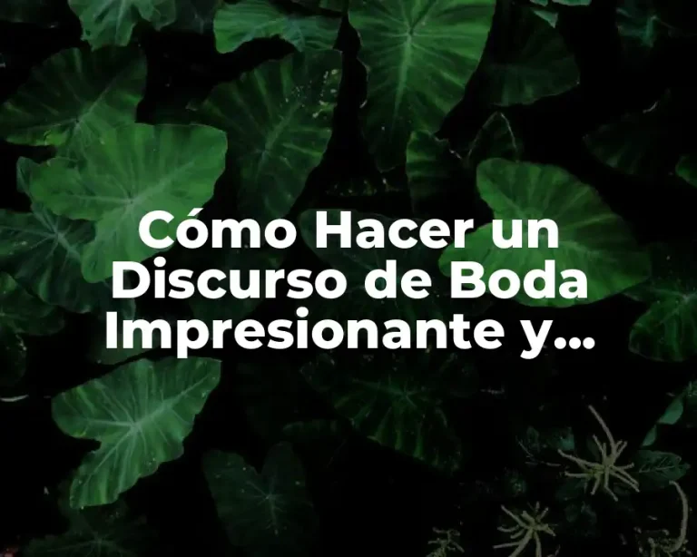 Cómo Hacer un Discurso de Boda Impresionante y Conmovedor