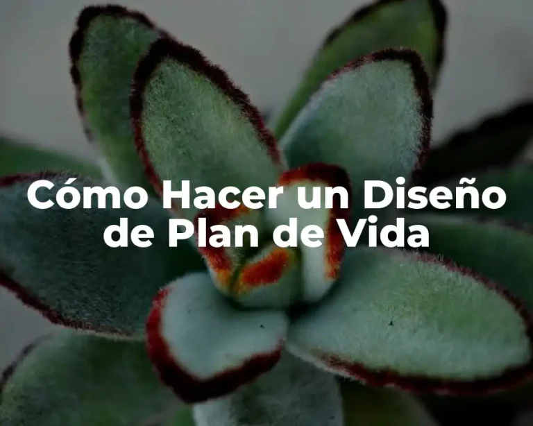 Cómo Hacer un Diseño de Plan de Vida