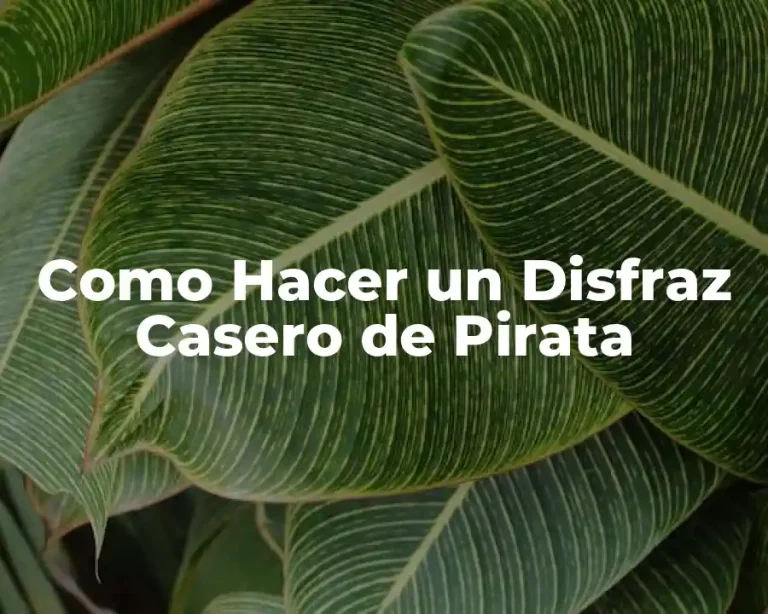 Como Hacer un Disfraz Casero de Pirata