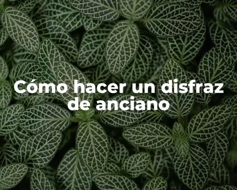 Cómo hacer un disfraz de anciano