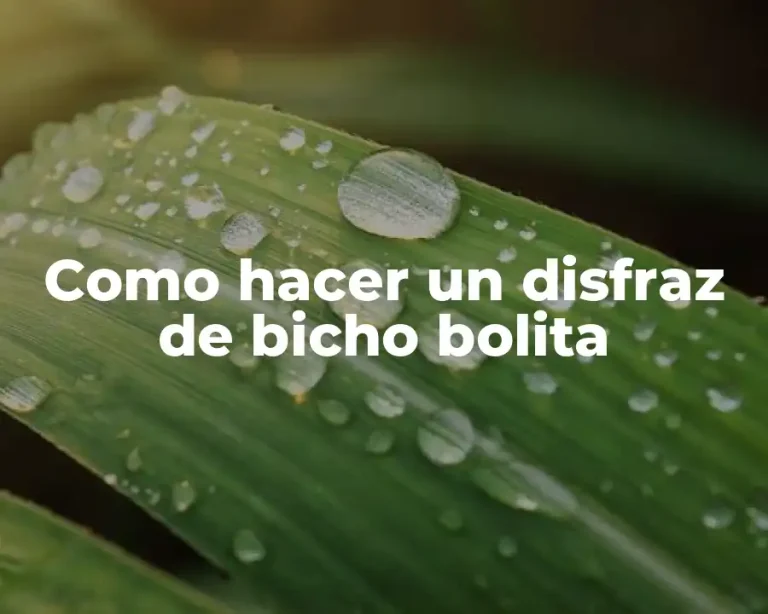 Como hacer un disfraz de bicho bolita