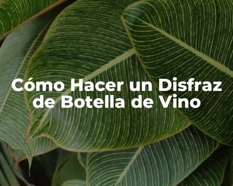 Cómo Hacer un Disfraz de Botella de Vino