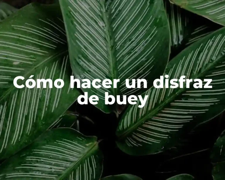 Cómo hacer un disfraz de buey