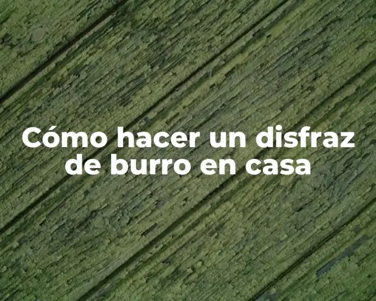 Cómo hacer un disfraz de burro en casa