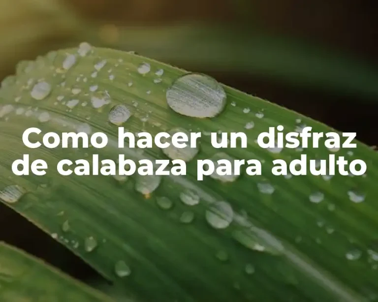 Como hacer un disfraz de calabaza para adulto