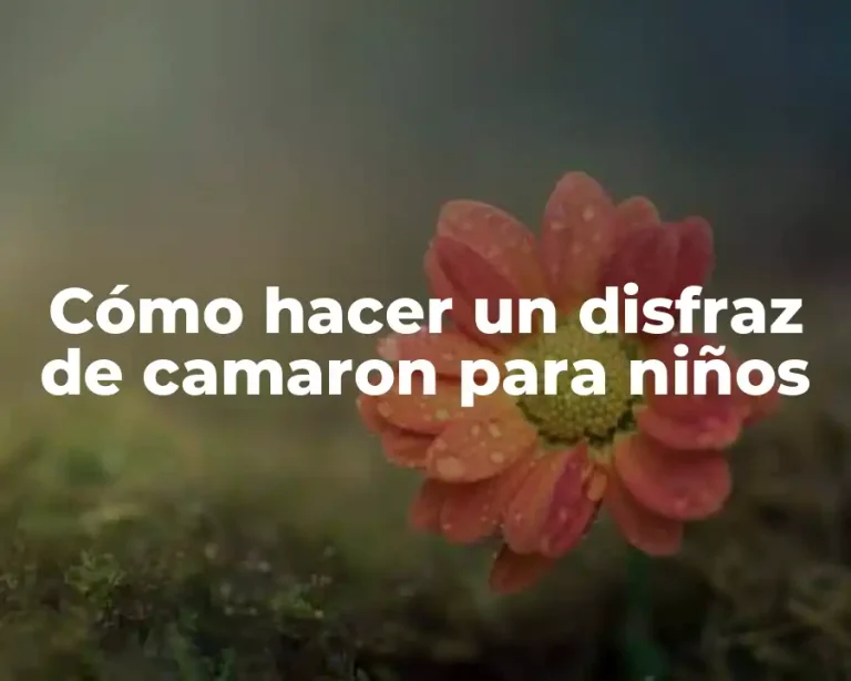 Cómo hacer un disfraz de camaron para niños
