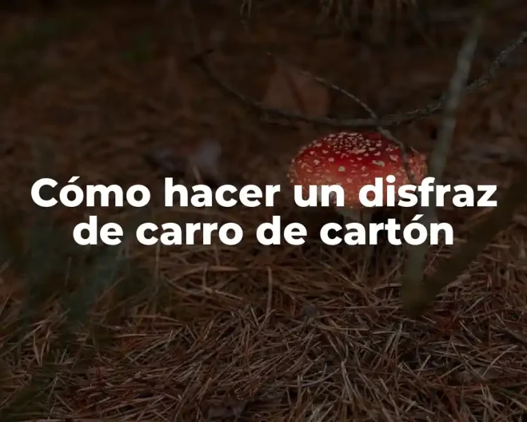 Cómo hacer un disfraz de carro de cartón