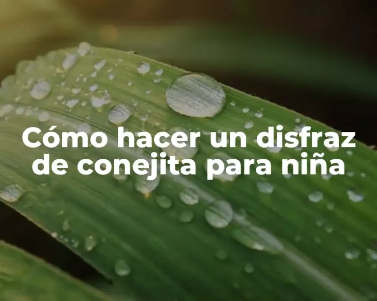 Cómo hacer un disfraz de conejita para niña