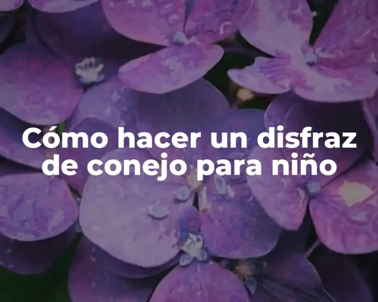 Cómo hacer un disfraz de conejo para niño