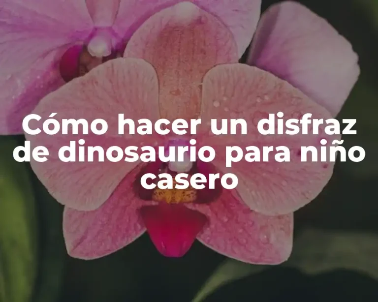Cómo hacer un disfraz de dinosaurio para niño casero